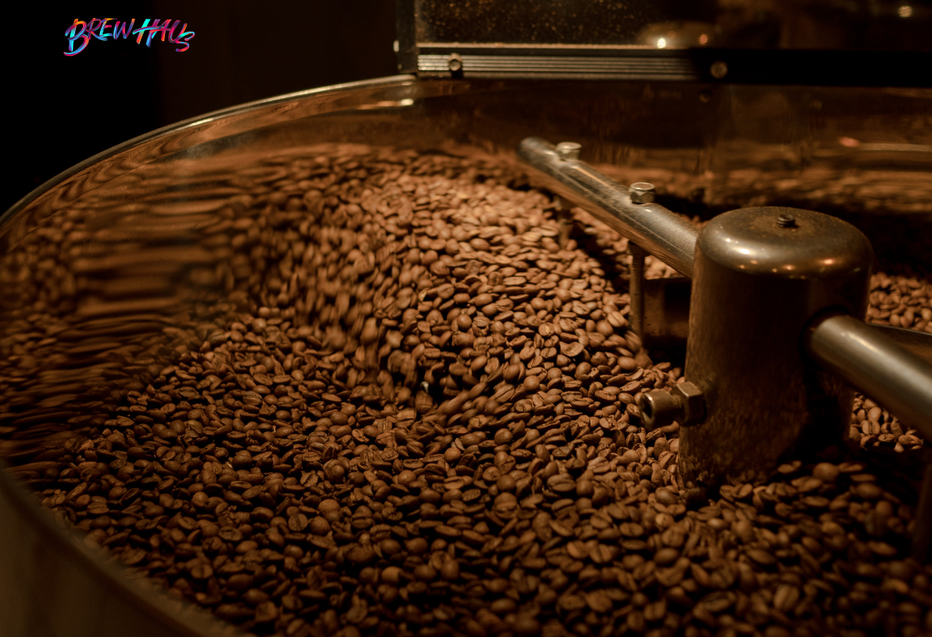 Protocolos de tueste: la base de la consistencia y la calidad en café de especialidad 