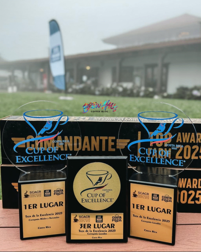 Tres premios Taza de la Excelencia 2025 Costa Rica