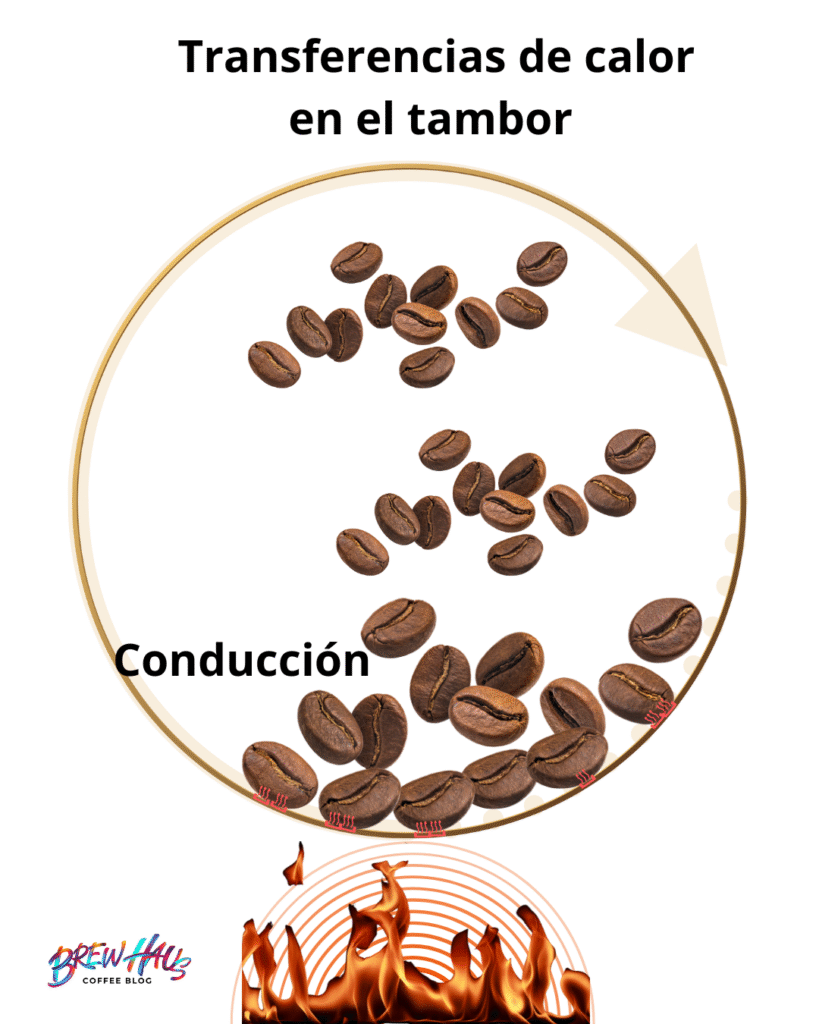 Transmision por calor directo entre el tambor y el grano de cafe