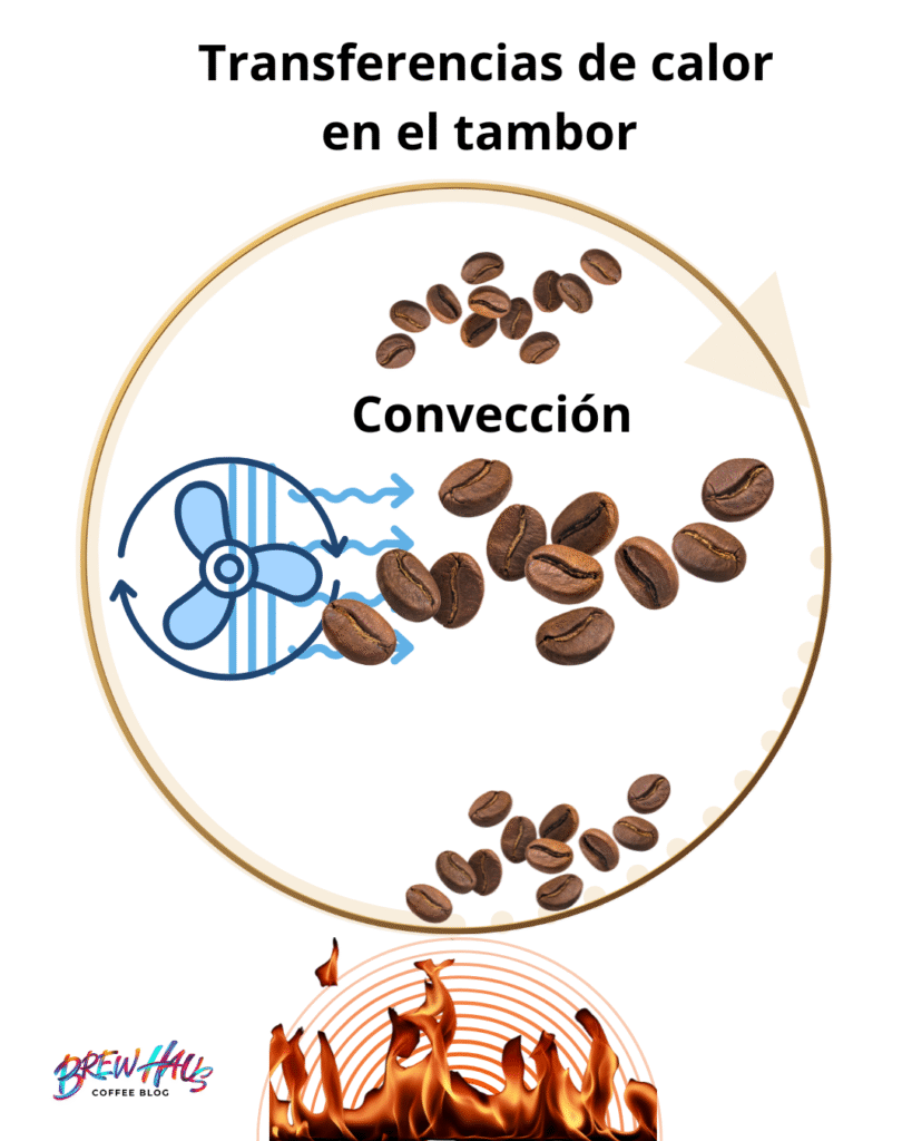 Transmision de calor en el tambor, aire caliente y el grano de cafe
