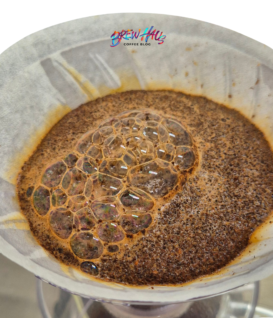 Bloom primer día de tueste