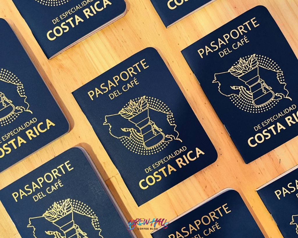 specialty coffee shop (66) pasaporte de cafe CR