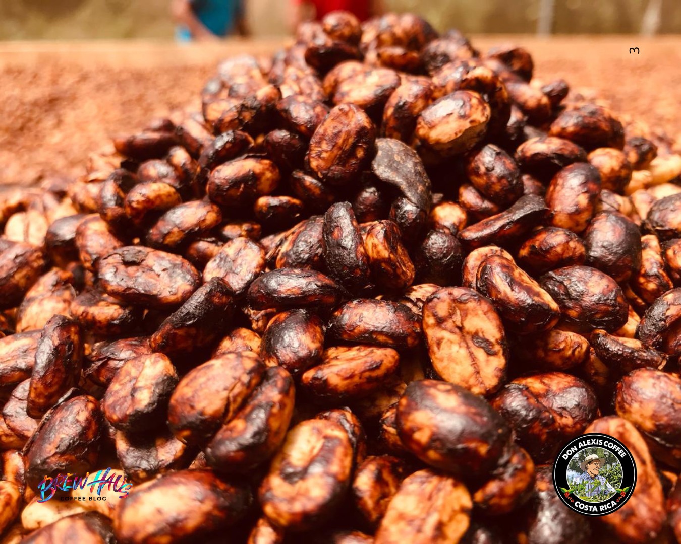 Beneficiado, Black Honey