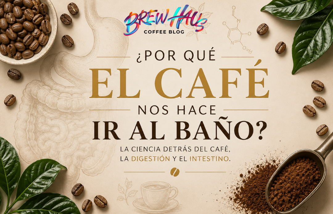 ¿Por Qué el Café Nos Hace Ir al Baño? La Ciencia de la Digestión y el Café